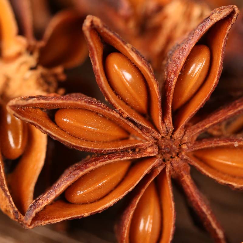 Star anise a single pod in close-up