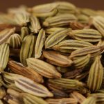 Fennel seeds in close-up
