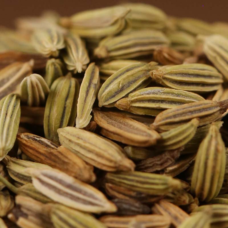 Fennel seeds in close-up