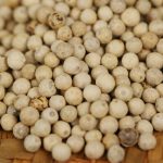 White peppercorns in close-up