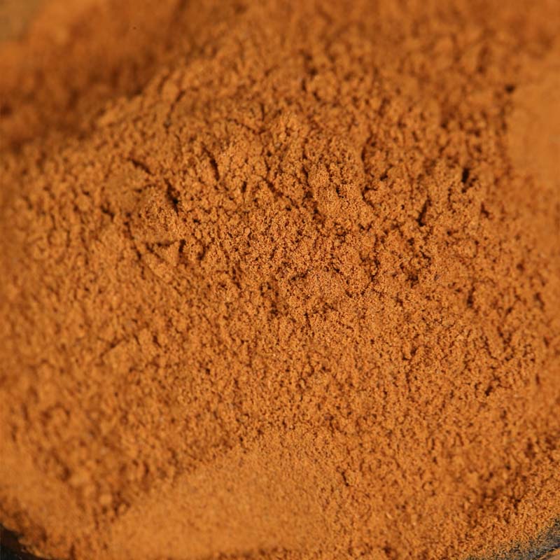 Ground cinnamon in close-up