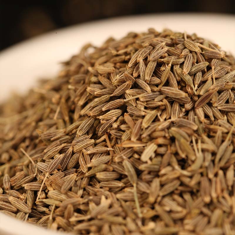 Cumin seeds in a white bowl