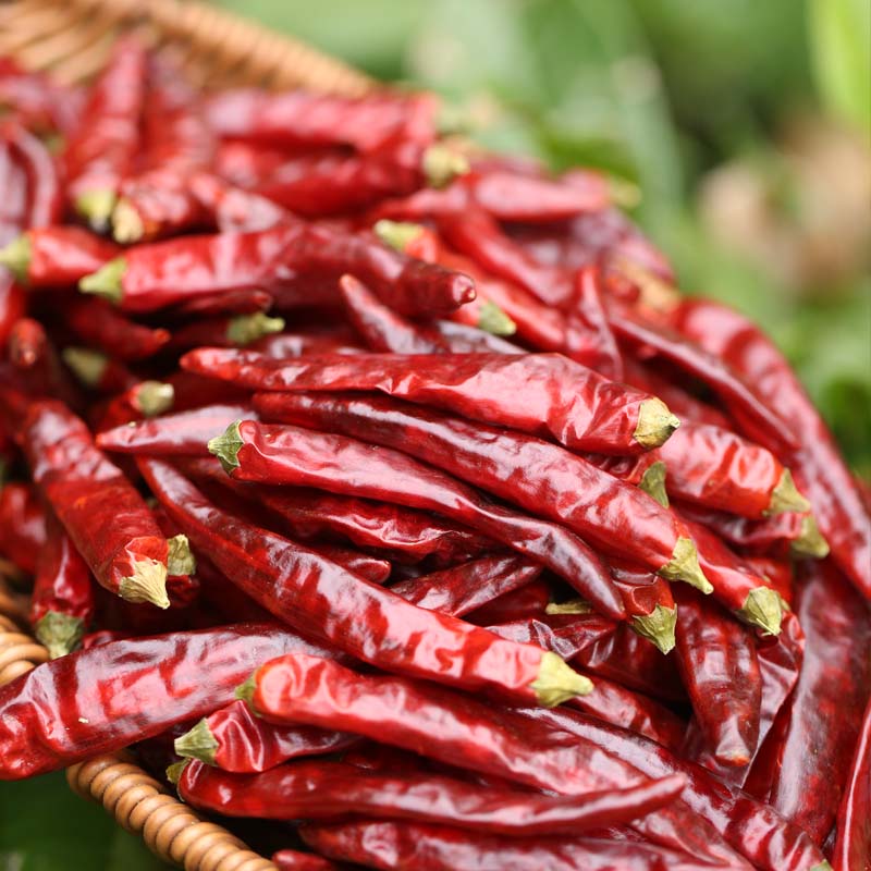 Tiaozi dried chili peppers in a bamboo sieve