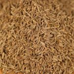 Cumin seeds in close-up