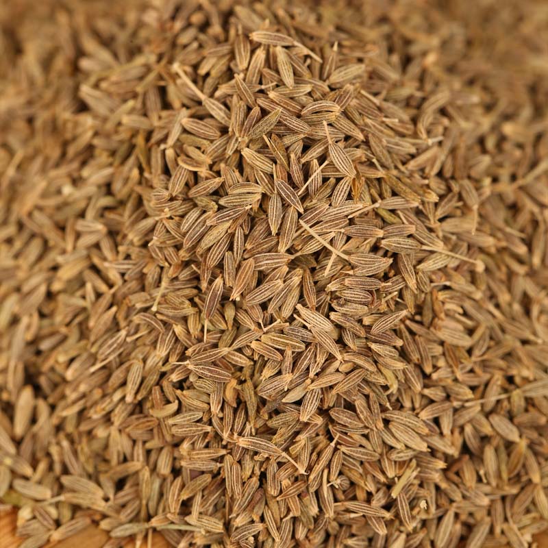 Cumin seeds in close-up