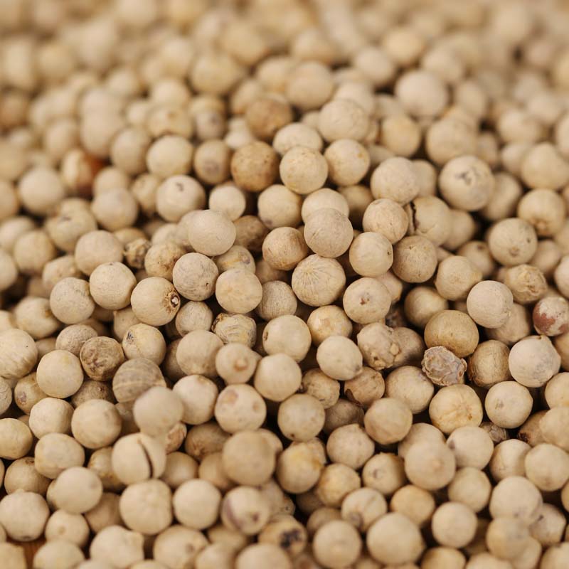 White peppercorns spread in a layer