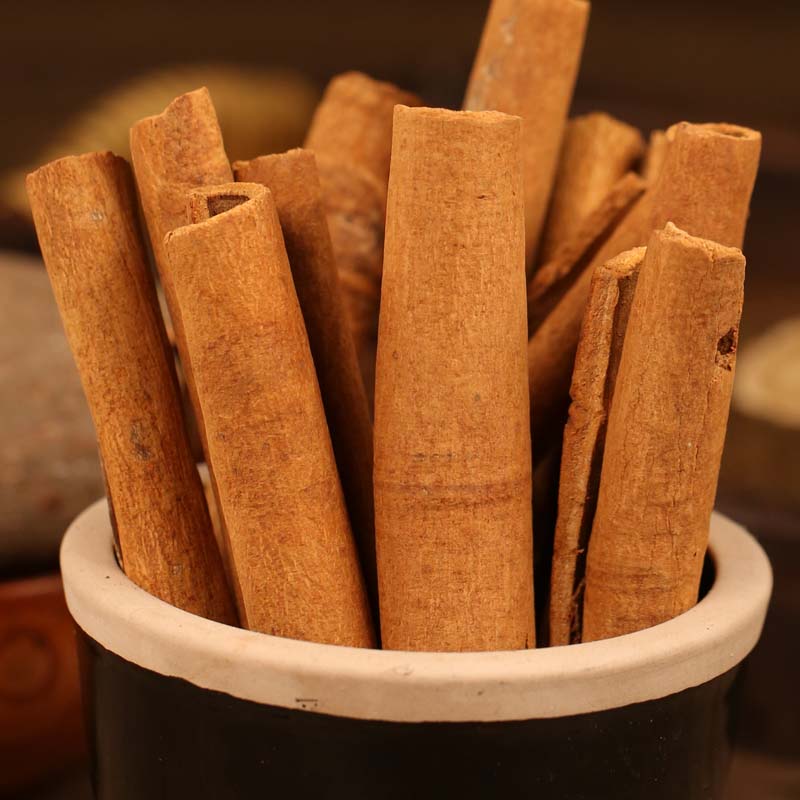 Cinnamon bark standing in a ceramic pot
