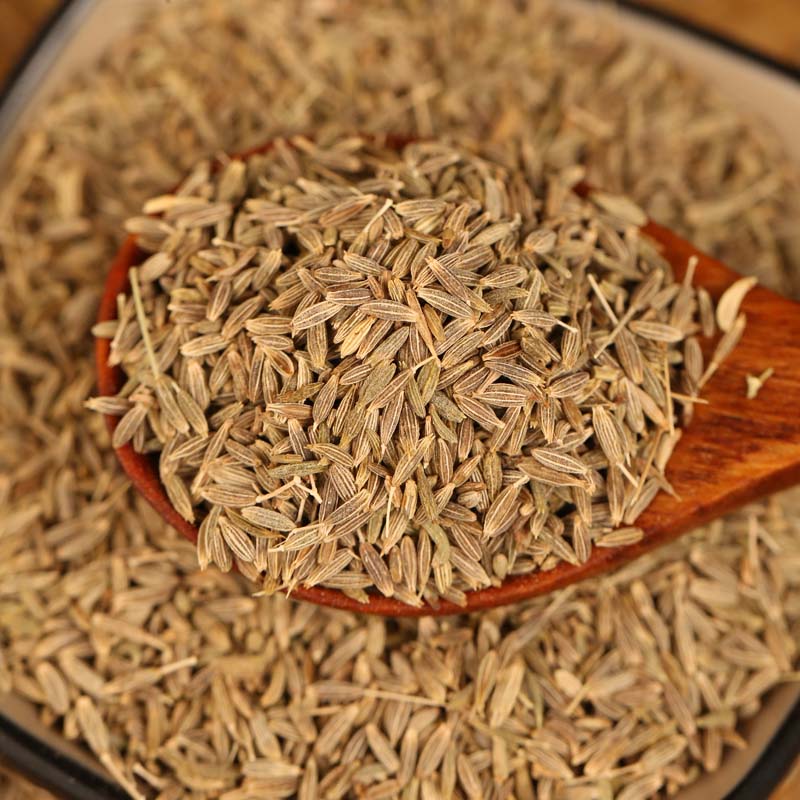 Cumin seeds on a wooden spoon